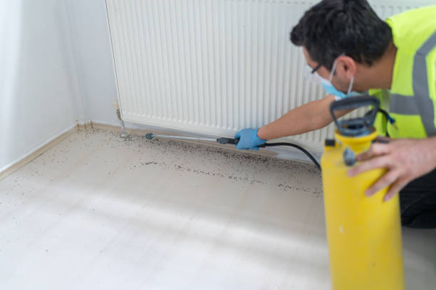 Best Best Pest Control Companies  in Whitehouse, TX
