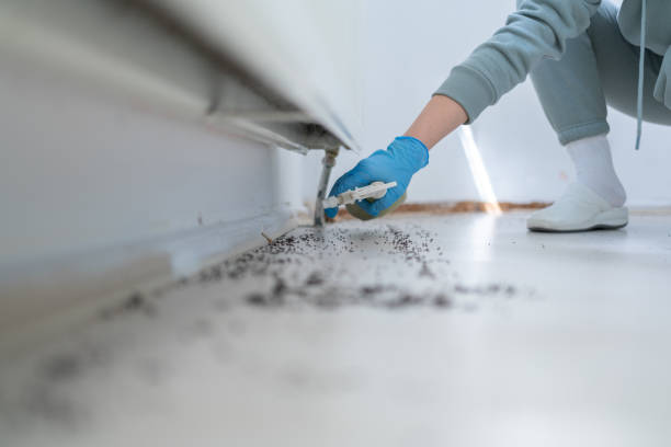 Whitehouse, TX Pest Control Company