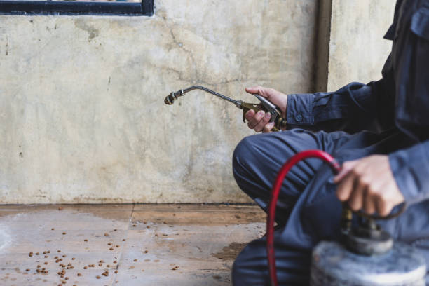 Best Pest Control for Businesses  in Whitehouse, TX
